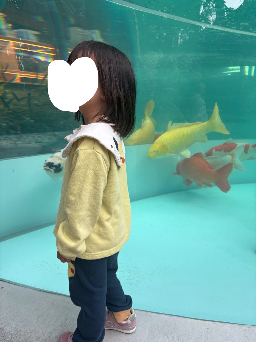 昨日はこどもの日でしたね🎏
息子初節句です👏✨
胃腸炎のため昨日は一緒にいられなかったけど、今日はみんなで鯉と鯉のぼりを見に行けました😆💕
