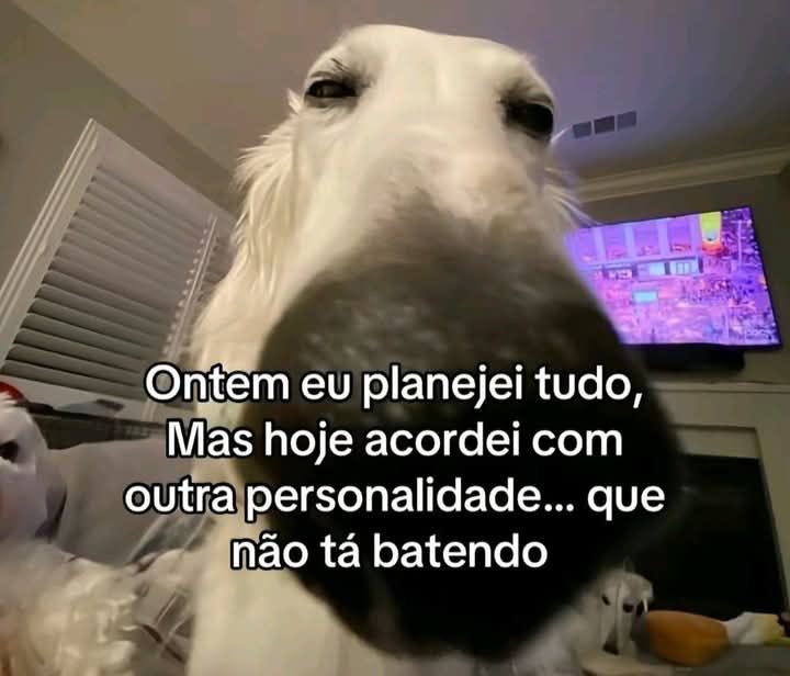 Pagina lixo (@paginalixo1) on Twitter photo 