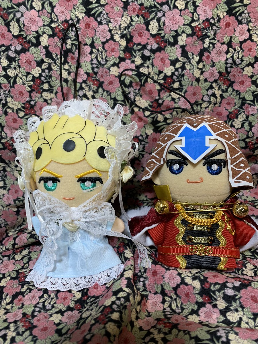 新しいお洋服だよ
とてもゴージャスで素敵だね✨️
2人ともよく似合う☺️