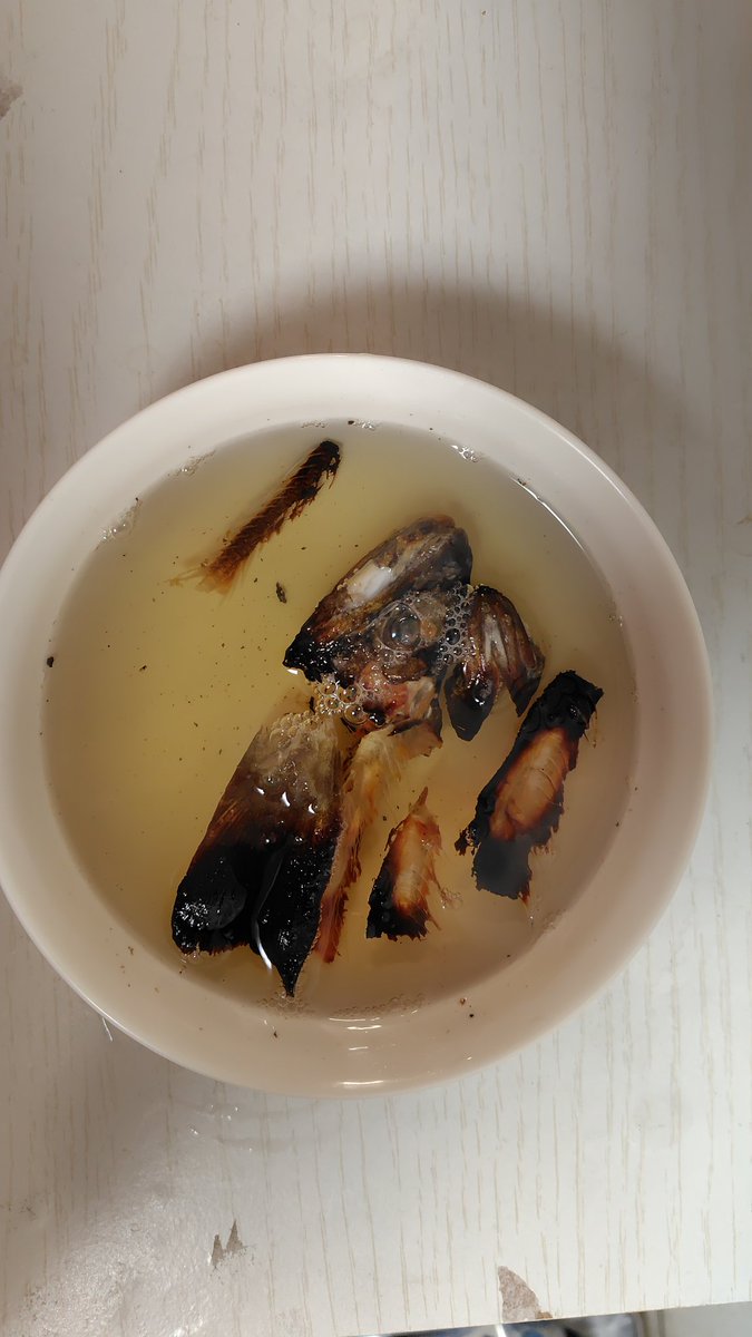 md4tsuri's tweet photo. 骨酒にしちゃいました！
もう明日の仕事は知りません！

骨酒って骨だけで身はいらないの？骨酒だから骨だけでいいの？

もう酔ってます… https://t.co/6yVHqluRCH