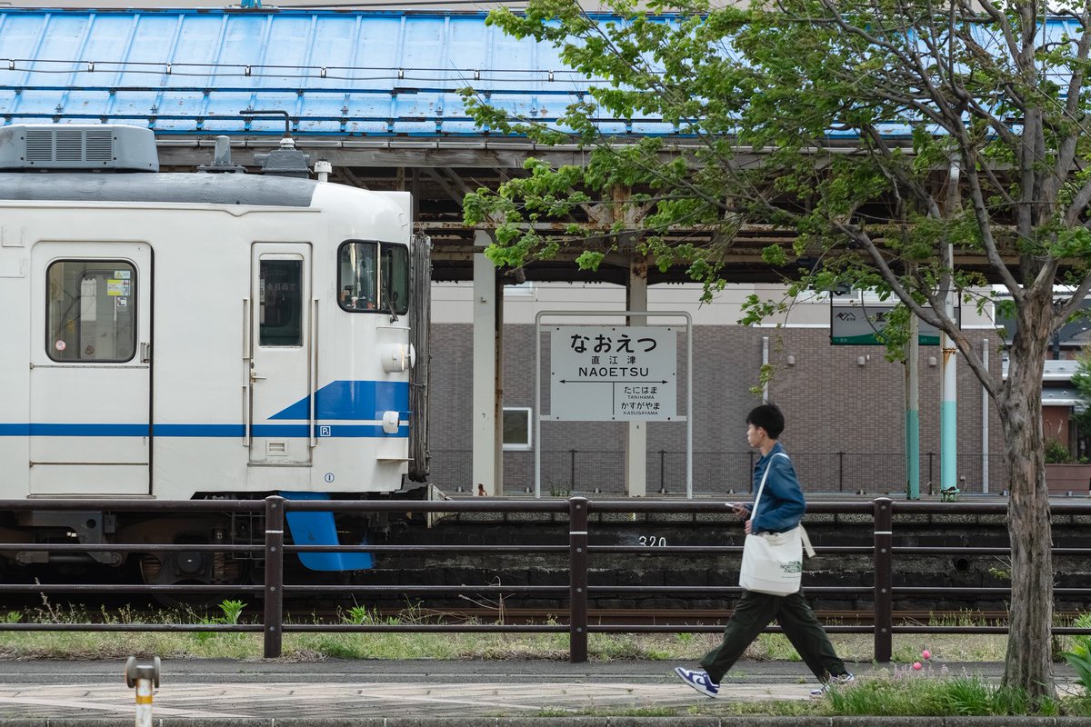 なやかな tweet media