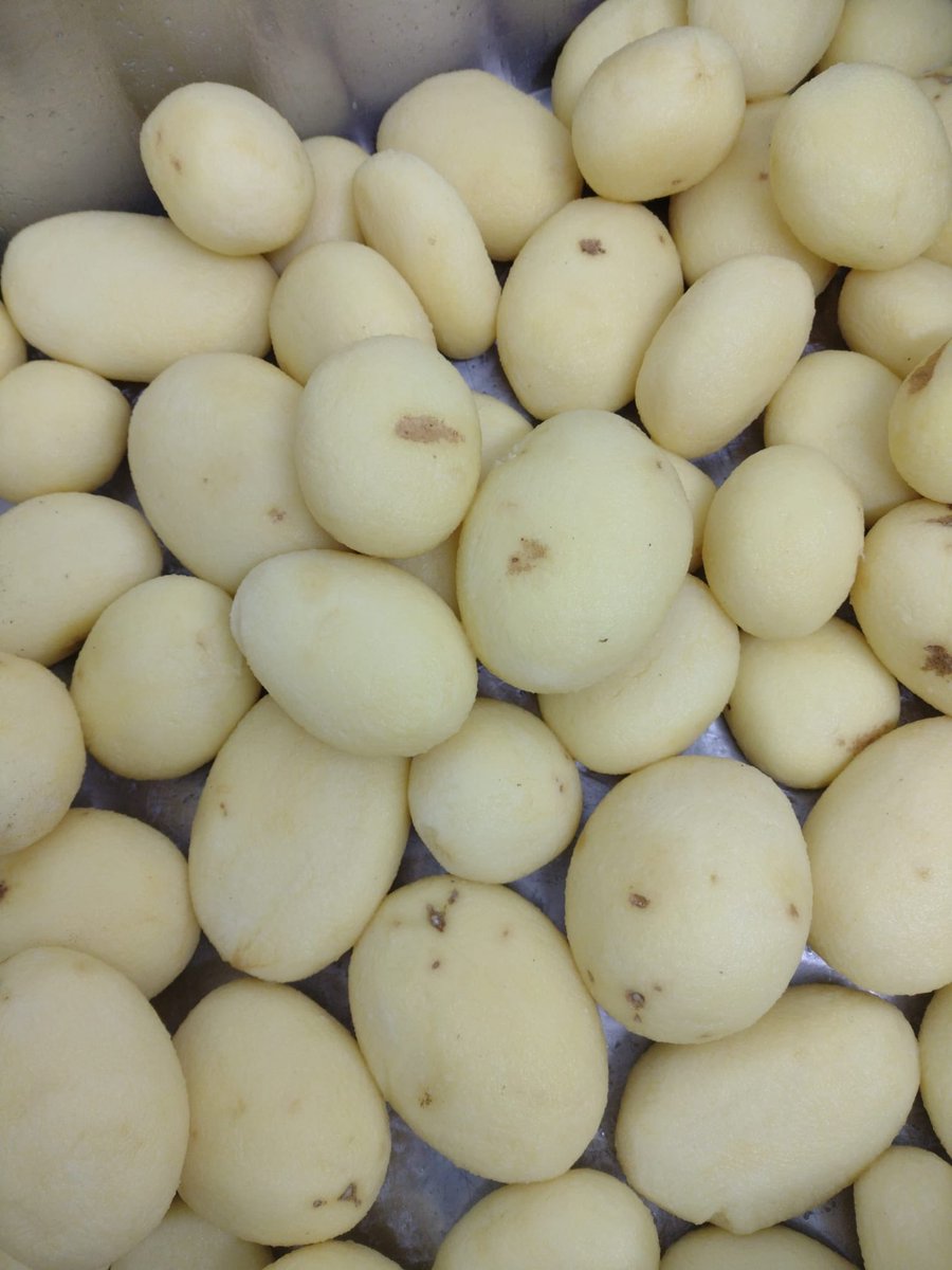 GaryHarrison's tweet photo. @stevehollyhouse @asda You want proper spuds go to a farmer, here ours rumbled up for chipping. https://t.co/WBZkDX8BC1