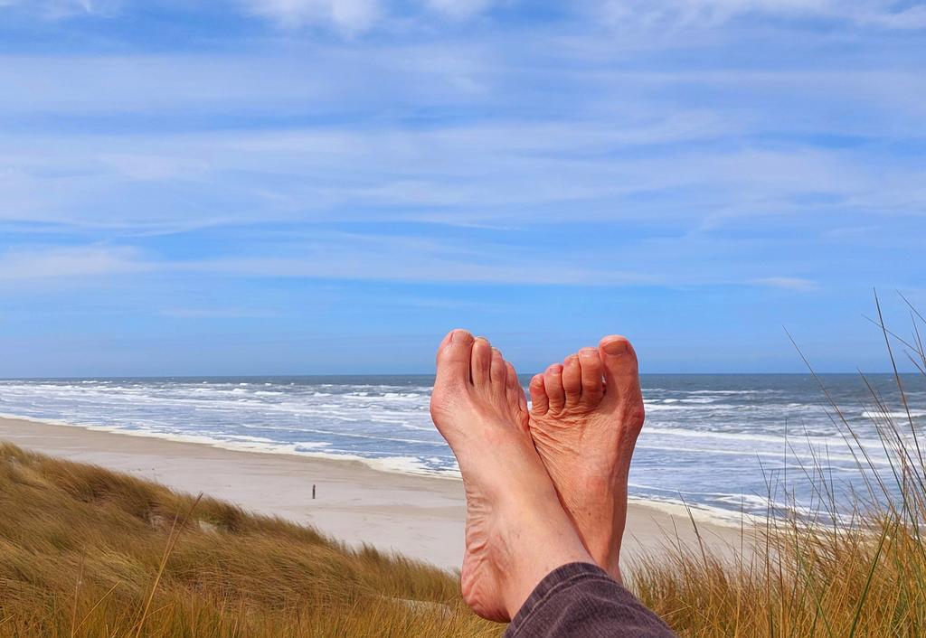 HettieZurMuhlen's tweet photo. In de zon, uit de wind ๐ en golven-bioscoopjeโค๏ธ#duinpan #Ameland #hardewind #golven #countyourblessings https://t.co/ZHZnYDjIm0
