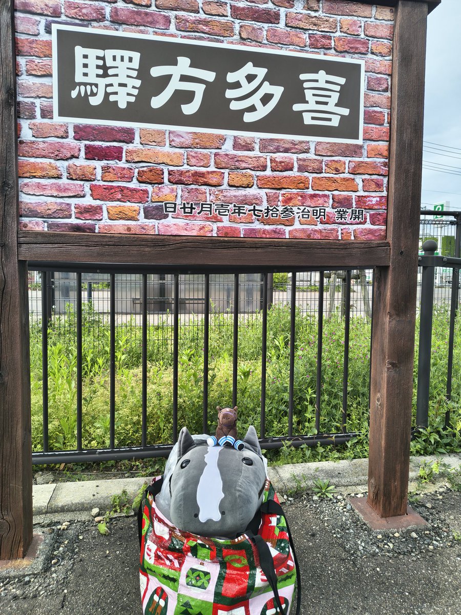 こーこーこ tweet media