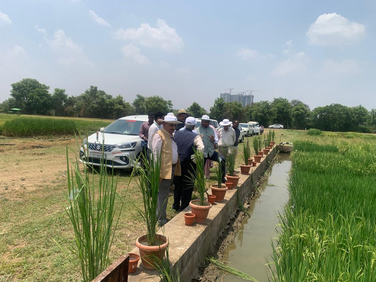 Indian Council of Agricultural Research. tweet media