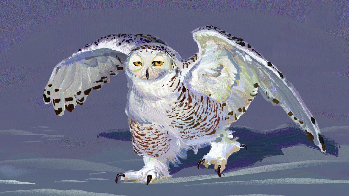 janis0615's tweet photo. ❄️
#heavypaint https://t.co/Ga7HzU40vC