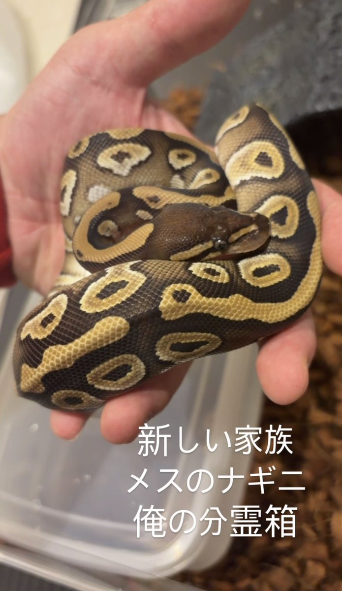 72kyun89's tweet photo. 愛おしいが過ぎる https://t.co/zCrpSBQ2qC