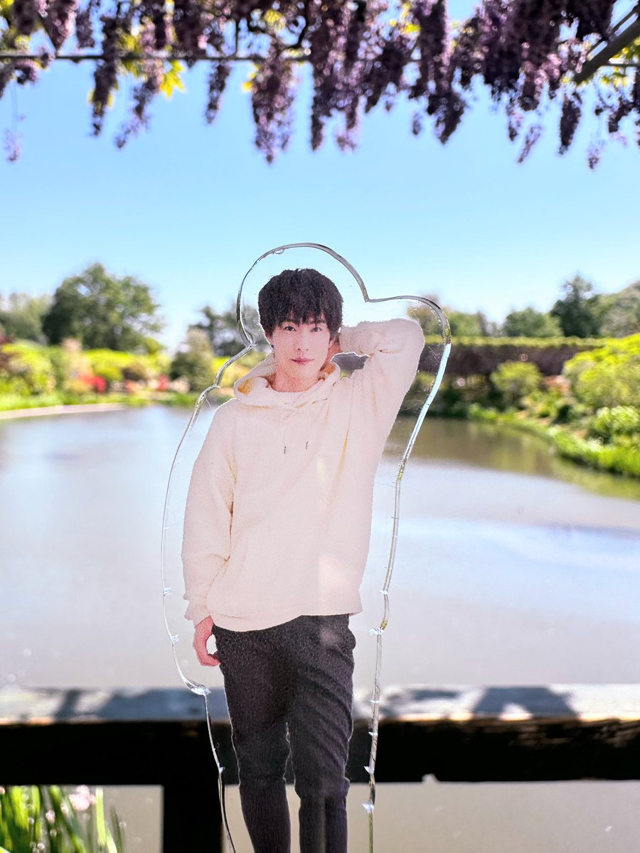 miho* tweet media