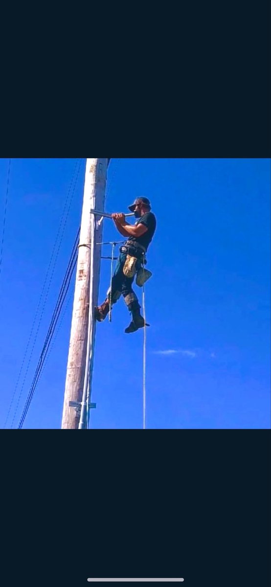 AustinDStevens's tweet photo. Apple didn’t fall too far https://t.co/JjhRGzGLpG