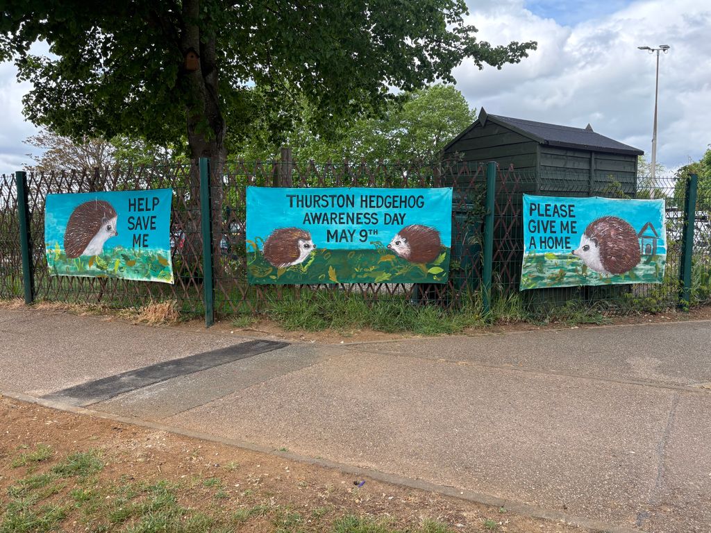 ThurstonCollege's tweet photo. Key Stage 3 Art Club have been busy making some very eye-catching banners to support Thurston Hedgehog Awareness Day which takes place at the public library on Saturday. What a fab effort! π¦
#Hedgehogs #Banners #Art #Creative #Community #TCCLife #TeamTCC https://t.co/A0SBAkRTjM