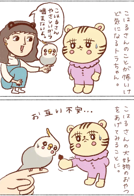 姪っ子とこはるさん

#オカメインコ 