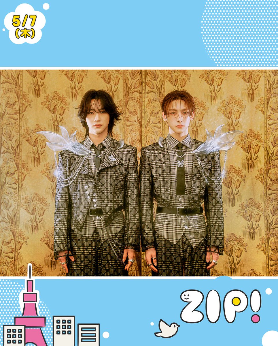 ZIP! 【公式】 tweet media