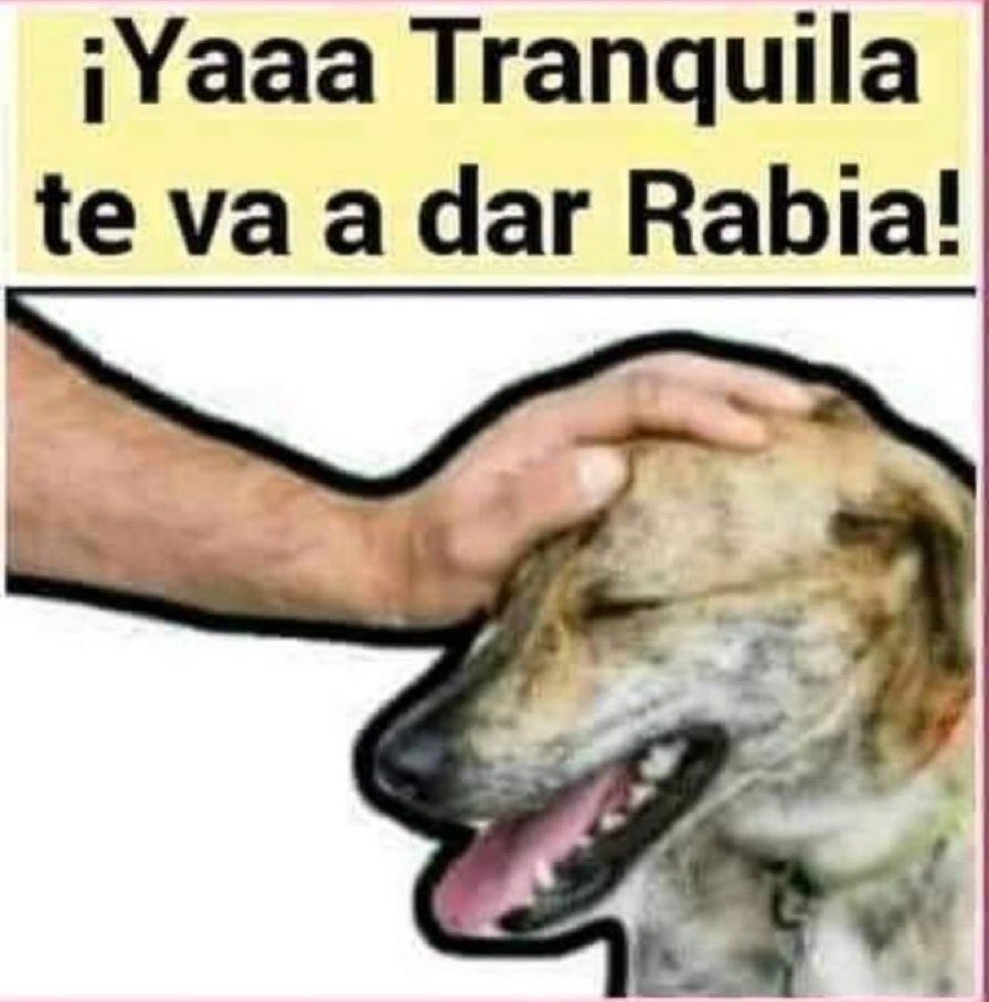 pumm666's tweet photo. @miryzos @MetrobusCDMX Pinche vieja resentida con la vida https://t.co/eS7tVyJQw5