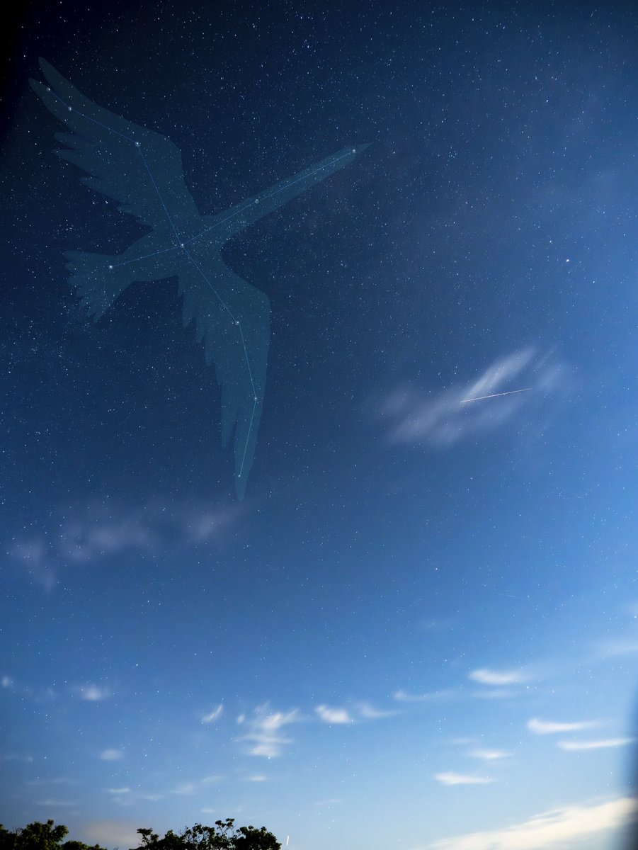 art_fR1225's tweet photo. ※↑動画の縦に横断してるのは飛行機、↓一枚目は衛星です　でも体感これくらいは見えてました https://t.co/szrzT52yeD