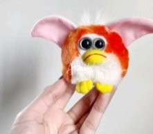 🐾🦴marx tweet media