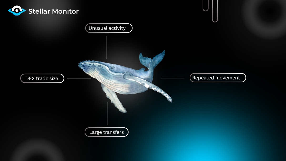 StellarMonitor tweet media