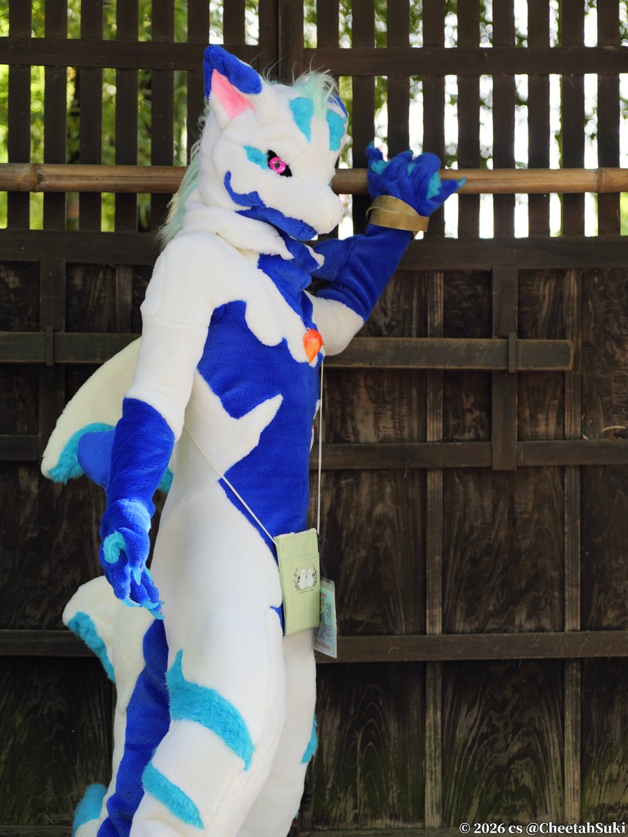 CheetahSuki's tweet photo. 白浪さん
#フレンズミート！ #FursuitEveryday https://t.co/ojtomE23gD