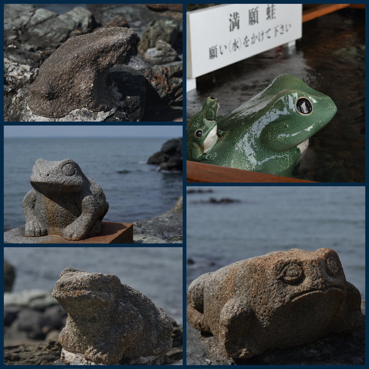 hodoki_t's tweet photo. 二見興玉神社はカエルだらけ！
（もっと、もーっといます）
#写真好きな人と繋がりたい #カメラ好きと繋がりたい https://t.co/cL9we35kpO