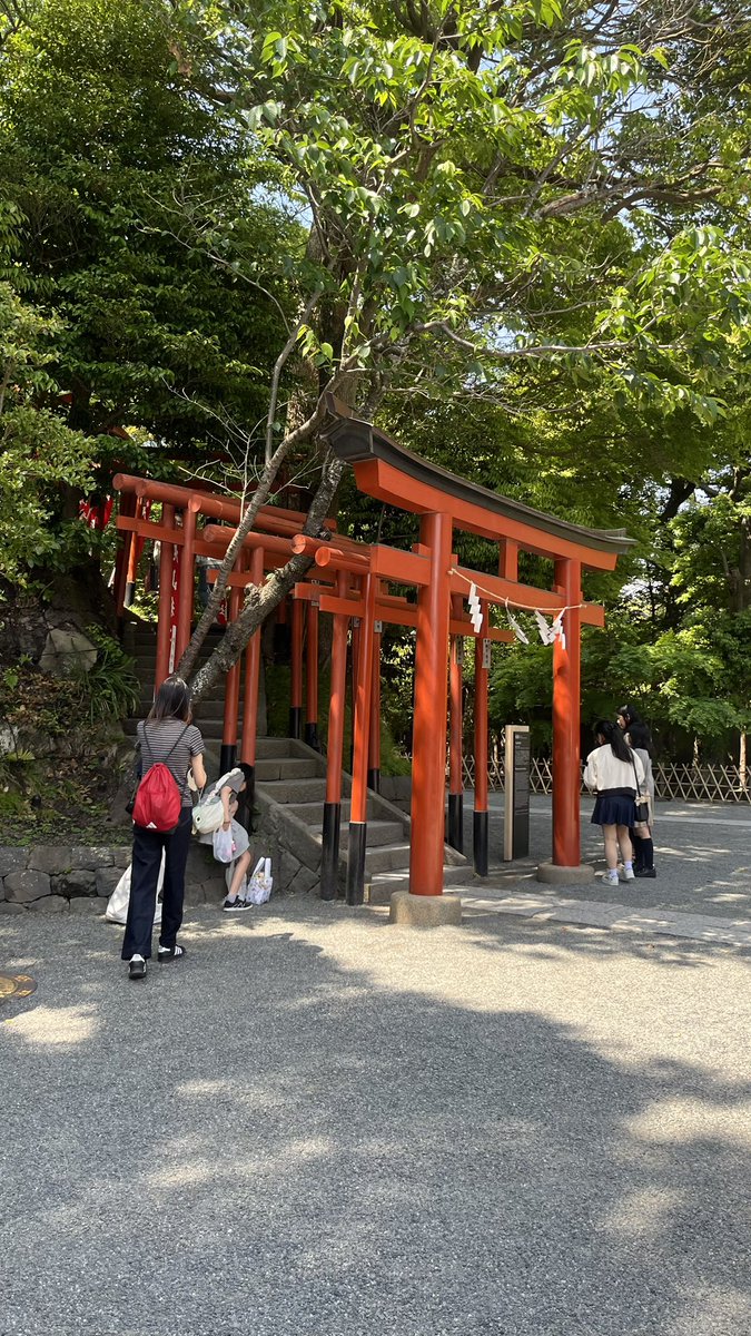 pyoruran's tweet photo. 鎌倉~江ノ島お散歩🌸 https://t.co/JJJvR5GJBC
