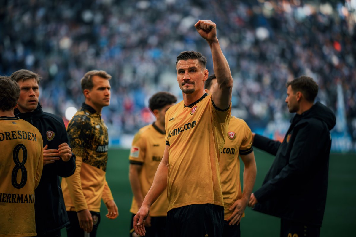 SG Dynamo Dresden tweet media