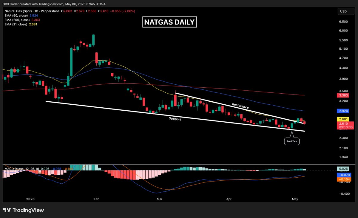 $Trader tweet media