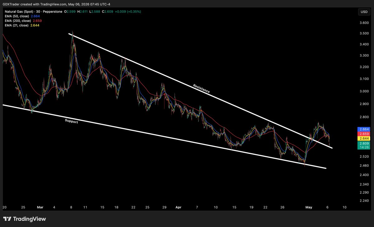 $Trader tweet media