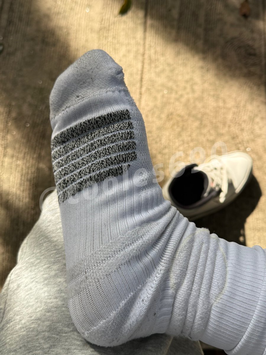 路边的野狗凑过来🧠