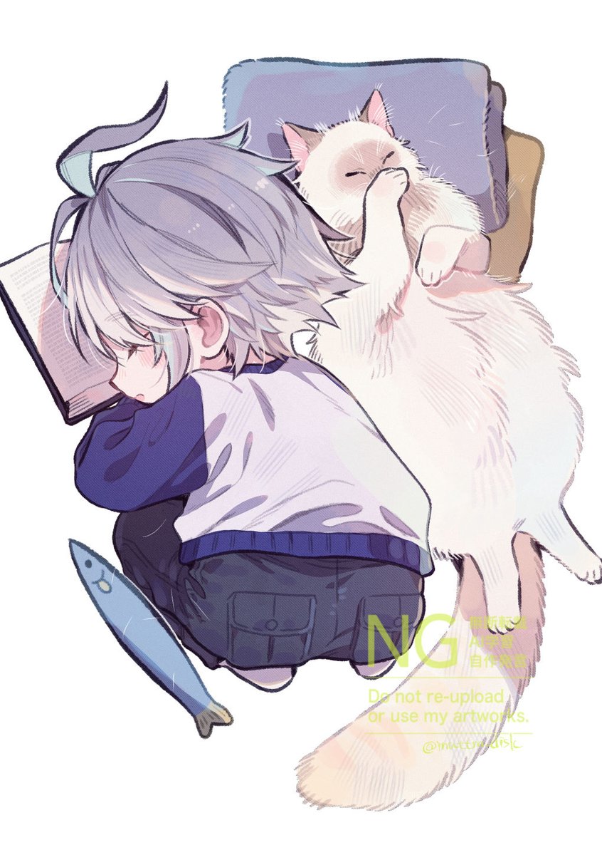 犬居しろ🐕 tweet media