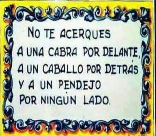 osopa1's tweet photo. @edison_fjarrin @mejoresdiasEC @andreselmonol @XMauricioTorres https://t.co/H2iI40XYXk