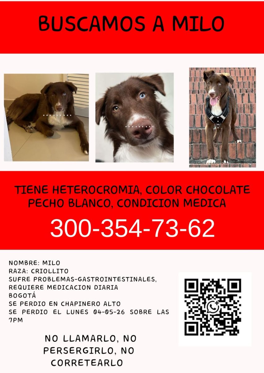 🚨 COMPARTO 🚨 
Milo salió corriendo del garaje de la casa hacia la Circunvalar, dirigiéndose al barrio Pardo Rubio. Es un perrito con problemas de estómago y páncreas, y necesita comida especial y medicación.
Lo están buscando desesperadamente. 
Ofrecen recompensa.💰
Ayuda 🐕🥺