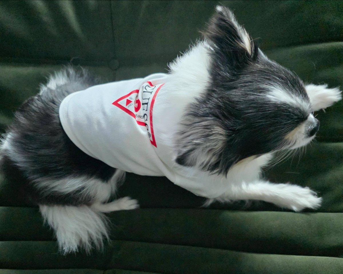 Моднее меня