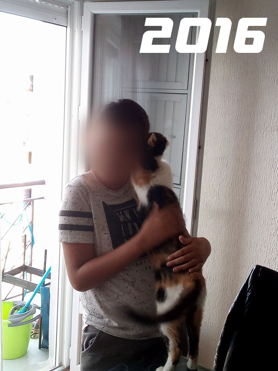 RyvoxFN's tweet photo. Encore une dure épreuve à surmonter… Je dois faire piquer mon chat, la plus belle (Princesse), mardi, à cause d’une tumeur. Après 18 ans de vie ensemble, il ne me reste plus qu’une semaine pour profiter d’elle avant qu’elle ne souffre… Je viens de passer 30 minutes allongé avec elle. Elle me regardait dans les yeux, comme si elle savait pertinemment que c’était bientôt la fin. Je suis détruit, honnêtement. Je redoute énormément mardi, quand je vais devoir l’amener en sachant qu’elle ne rentrera pas avec moi…