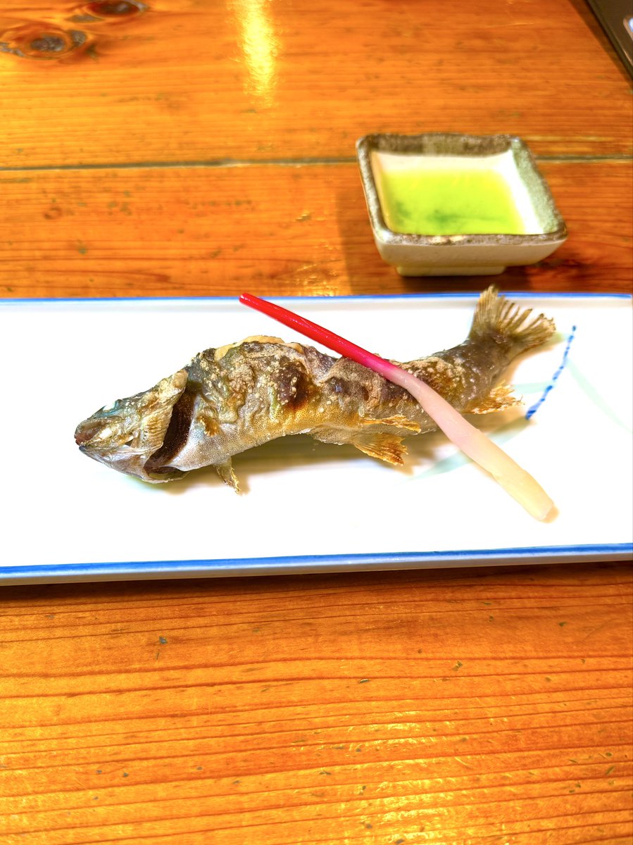Takashi JAPAN (@takashi7Japan) / Posts / X