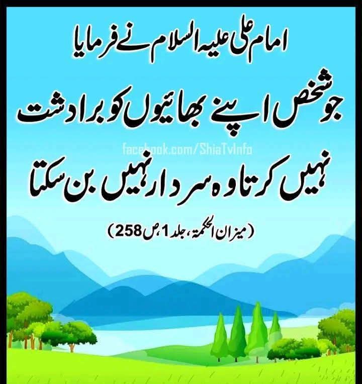 Najaf-e-Ashraf (Mola Ali A.S) tweet media