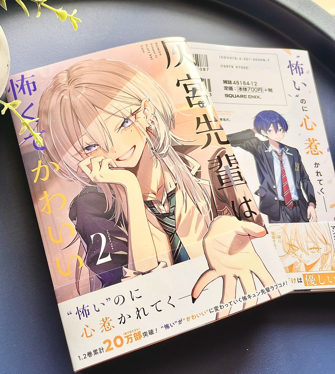 神山すむ🐺 tweet media