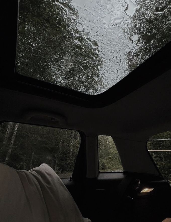 huariqueje's tweet photo. the sound of raindrops. https://t.co/CEfKNN0xQc
