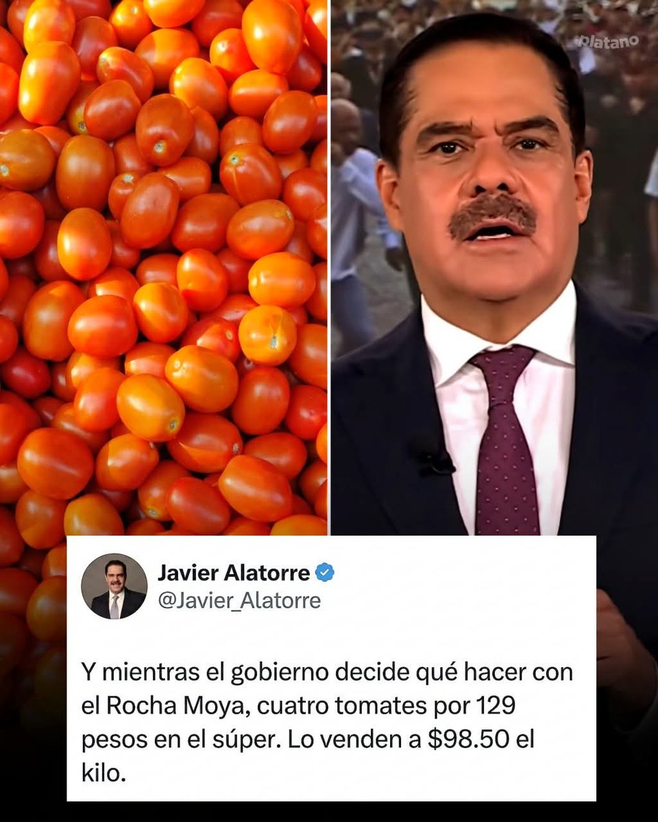 Morena Noticias tweet media