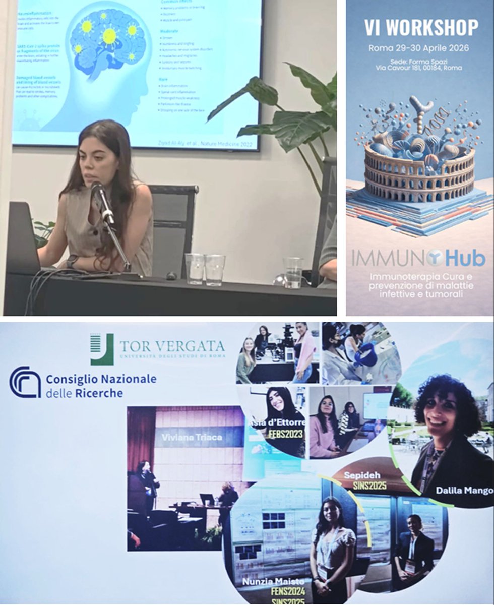 Cnr_Ibbc's tweet photo. 🧫🔬At #ImmunoHub2026Rome, Nunzia Maisto from @TriacaViviana Lab brilliantly presented a novel ex vivo 3D #NEUROCOVID brain model as drug discovery platform for spike-neutralizing antibodies💊. A #Cnr_Ibbc and @unitorvergatajoint effort. https://t.co/lONKfQV5Bk
@CNRsocial_ https://t.co/IsIYE3WX7o