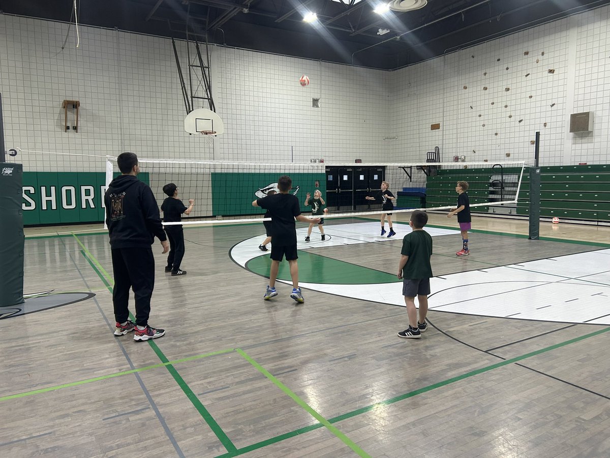 Lake Shore Boys Volleyball tweet media