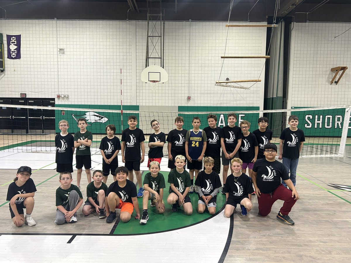 Lake Shore Boys Volleyball tweet media