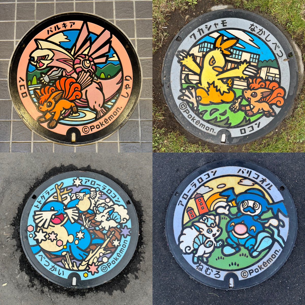ポケふた 缶バッジ 岩手 福島 北海道 鳥取 11個 ポケふた北海道