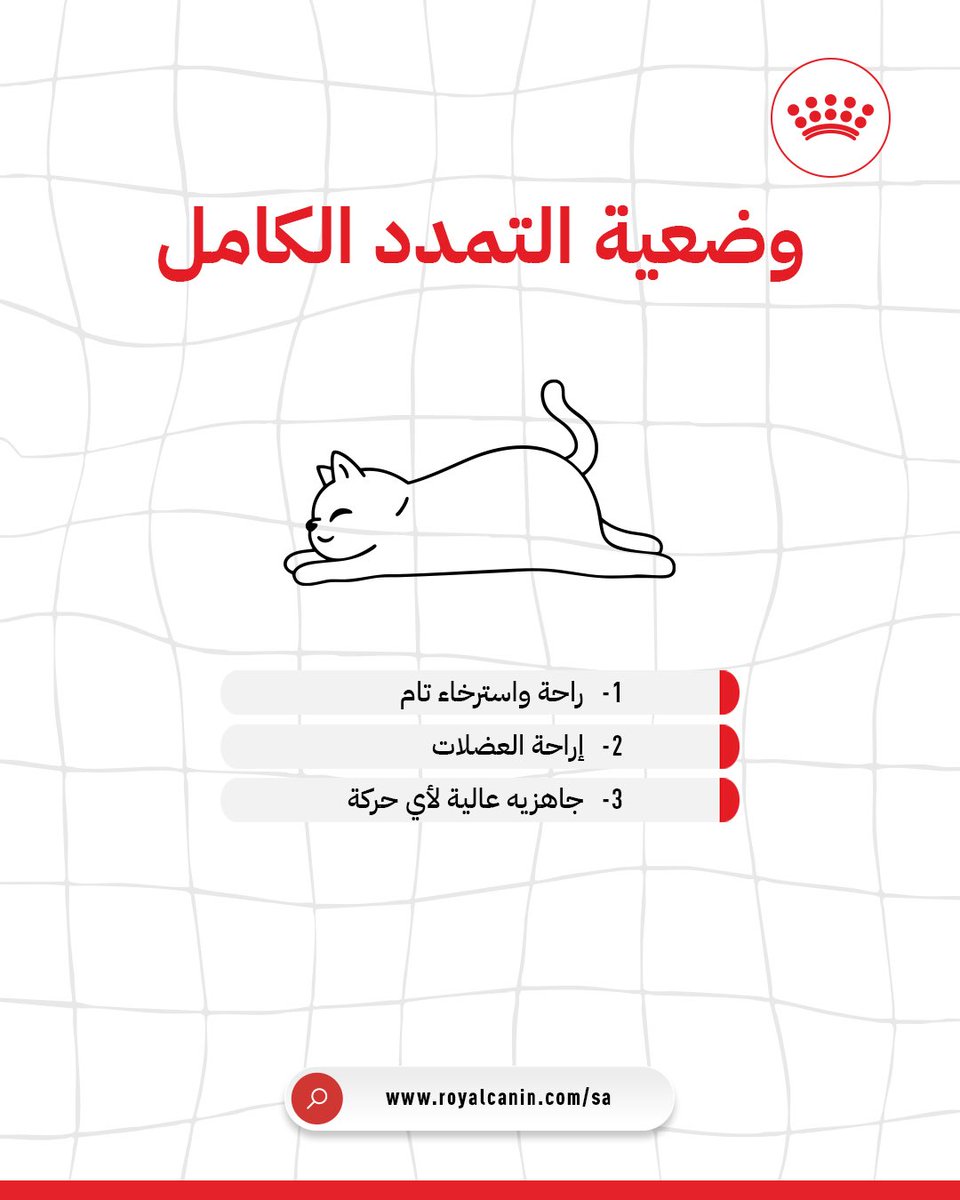 وضعية نوم قطتك قد تكشف الكثير عن شعورها بالأمان والراحة. شاركنا، أي وضعية نوم تفضلها ملكة منزلك غالبًا؟ ❤️💤 #رويال_كانين

Your cat’s sleeping position can reveal a lot about how safe and comfortable they feel. Share with us which sleeping position does your cat prefer most? ❤️💤