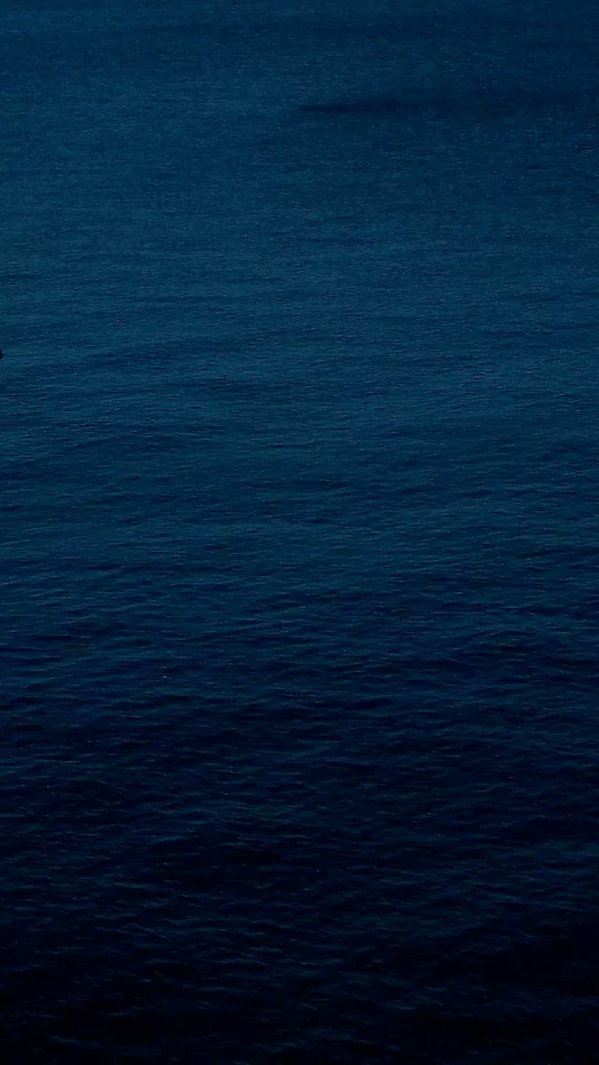 ocean tweet media