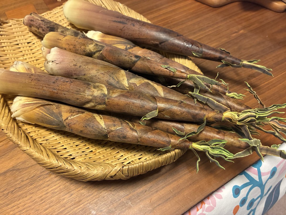 今日の午後の散歩では、ついに布袋竹に手を出した。
#多摩川
