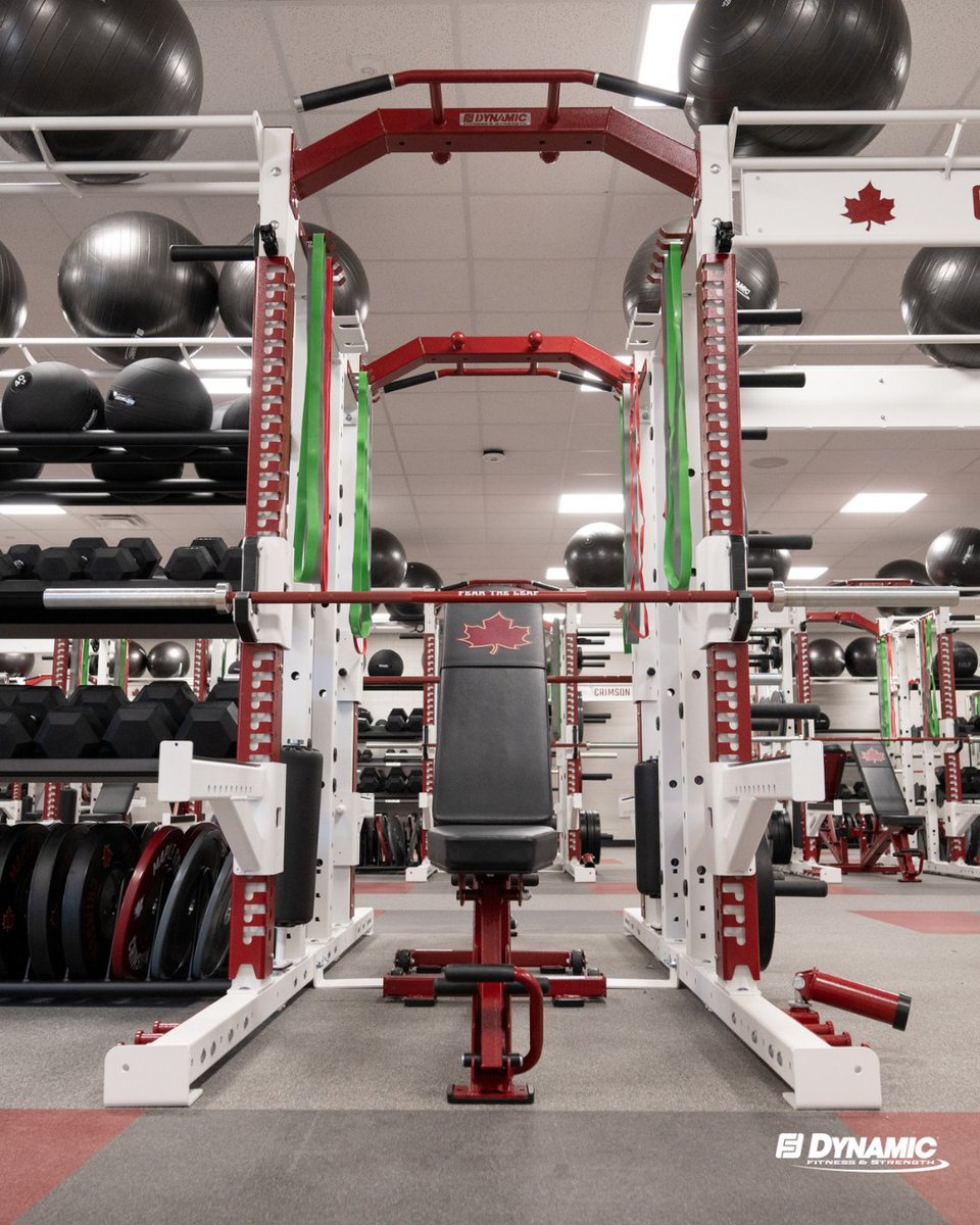 Dynamic Fitness and Strength tweet media