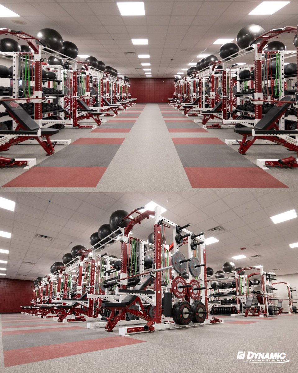 Dynamic Fitness and Strength tweet media