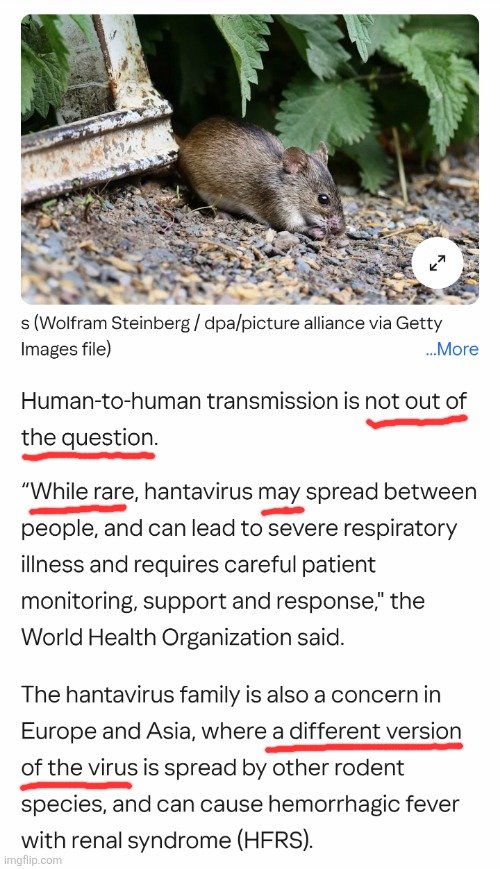 The "Hantavirus" narrative in 4 steps:

​1. Admit symptoms are non-specific (could be Covid/Flu/Cold).
​
2. Admit it’s "believed" to be the cause without isolating a variable.
​
3. Admit it may spread between people without direct proof.
​
4. Admit there’s no treatment or cure.
