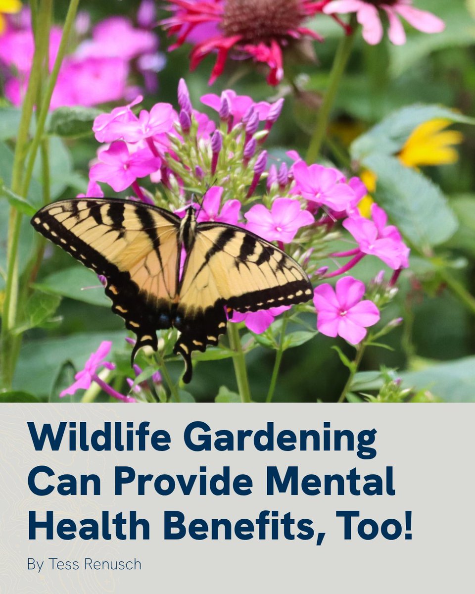National Wildlife Federation tweet media