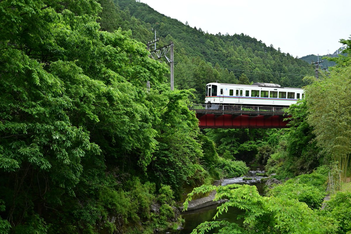 Norakuron2's tweet photo. R8.5.6
351列車   4009F
5030列車 4021F
本日も緑を求めて山線へ
※4K対応 https://t.co/UdWGFOEgQq
