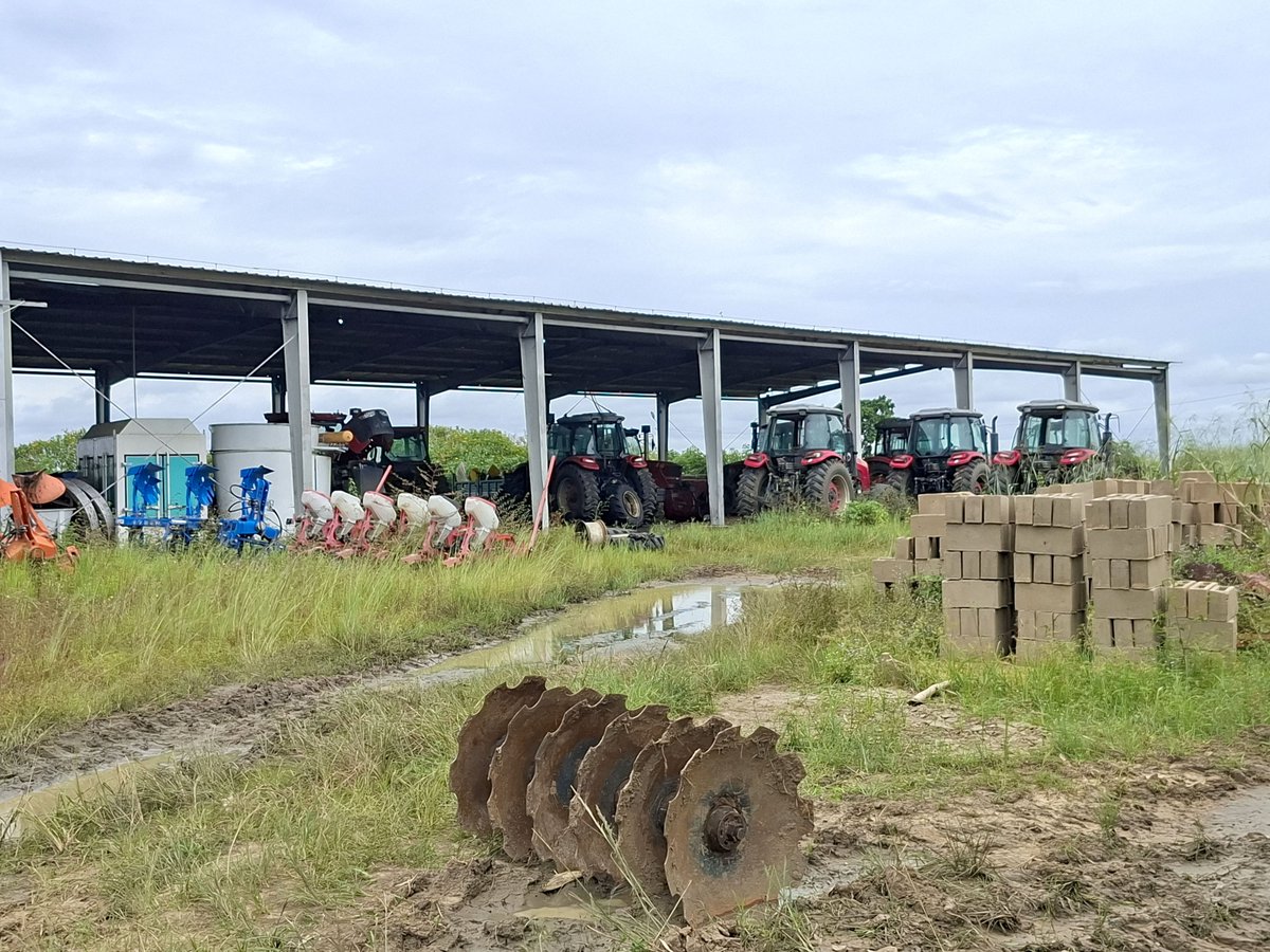 FAOCongo's tweet photo. 🌱 Visite des ZAP – Axe Nord
La Représentante de la FAO a visité les ZAP de Liko, Bissambi, Gangiania, Moundzeli et Ossio, couvrant plus de 1 000 ha de manioc et de maïs .Elle a salué les efforts du @MAEP en faveur de la transformation agricole.

#FAO#MAEP https://t.co/f7C47qat42